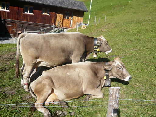 hiking in glarus (switzerland)